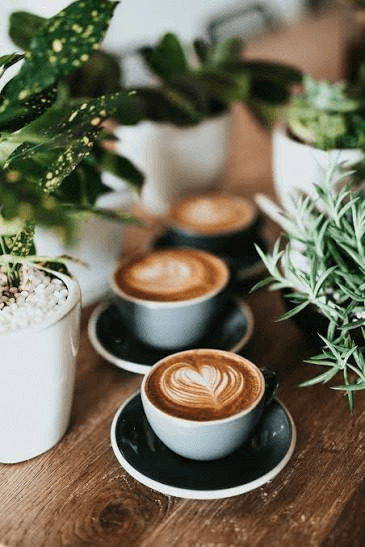 Latte Art Workshop with Barista Baruch Spinoza